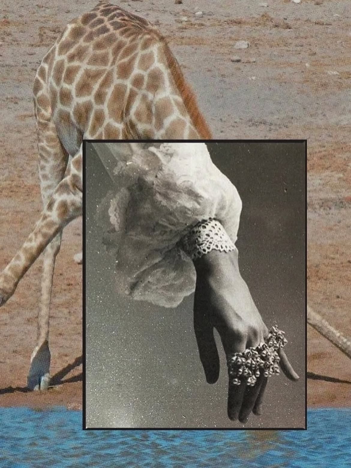 Surreal collage of a giraffe and a hand