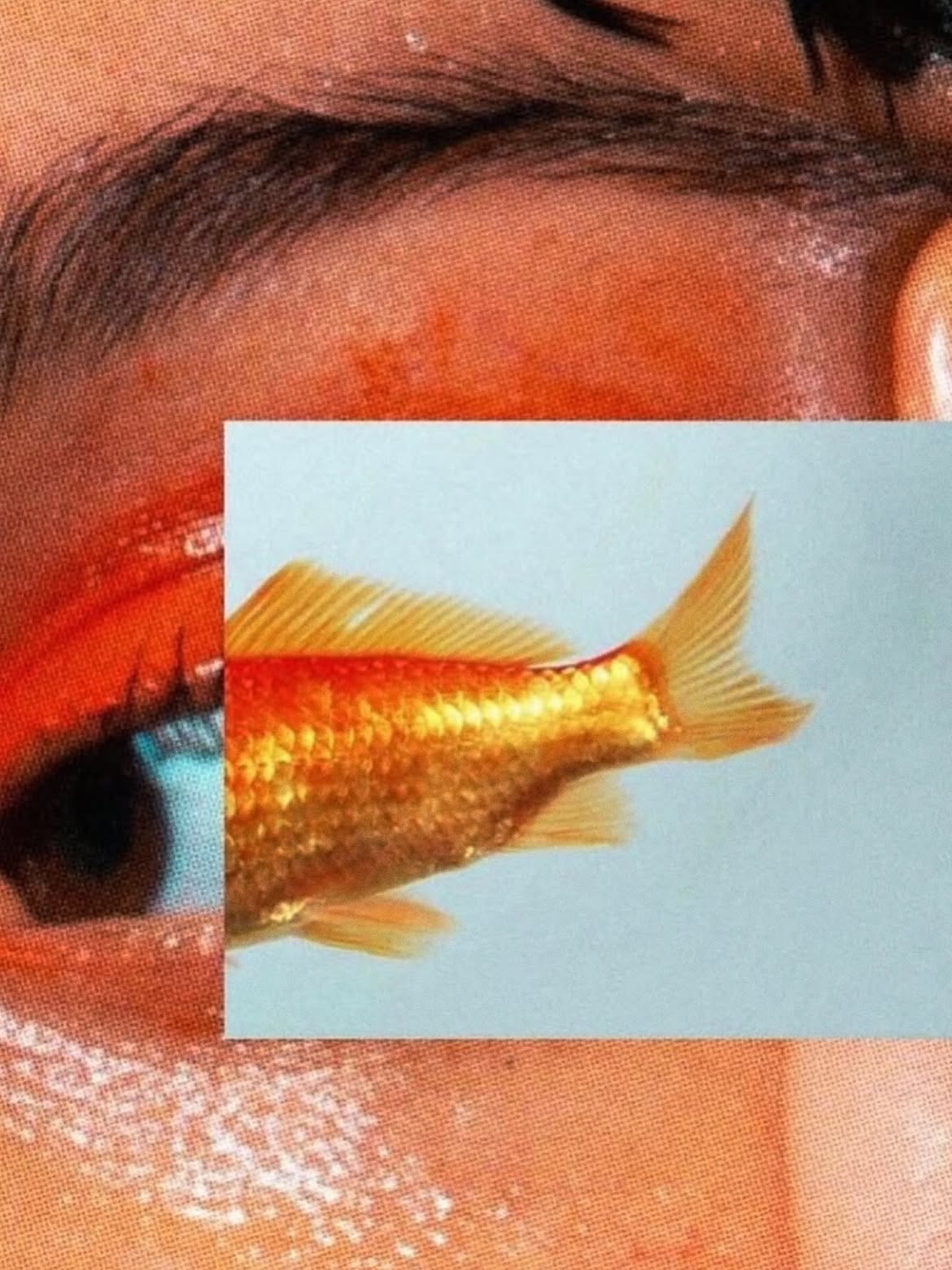 Surreal collage of an eye and a goldfish